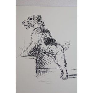 Lucy Dawson Dog Print Wire Haired Terrier Taffy 90550